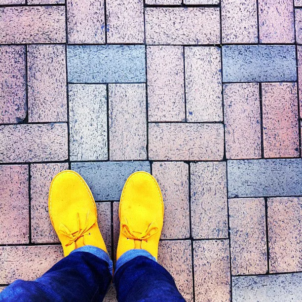 [Mustard Yellow] - Flat Woven Shoelaces